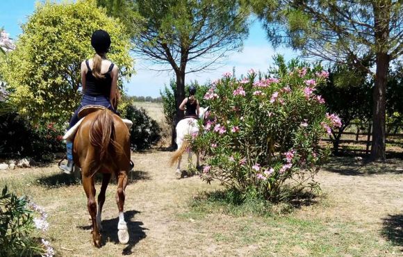 Riding school