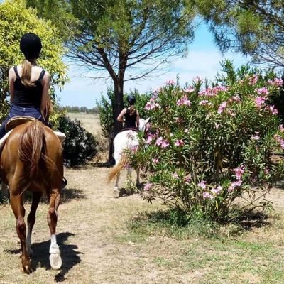 Riding school